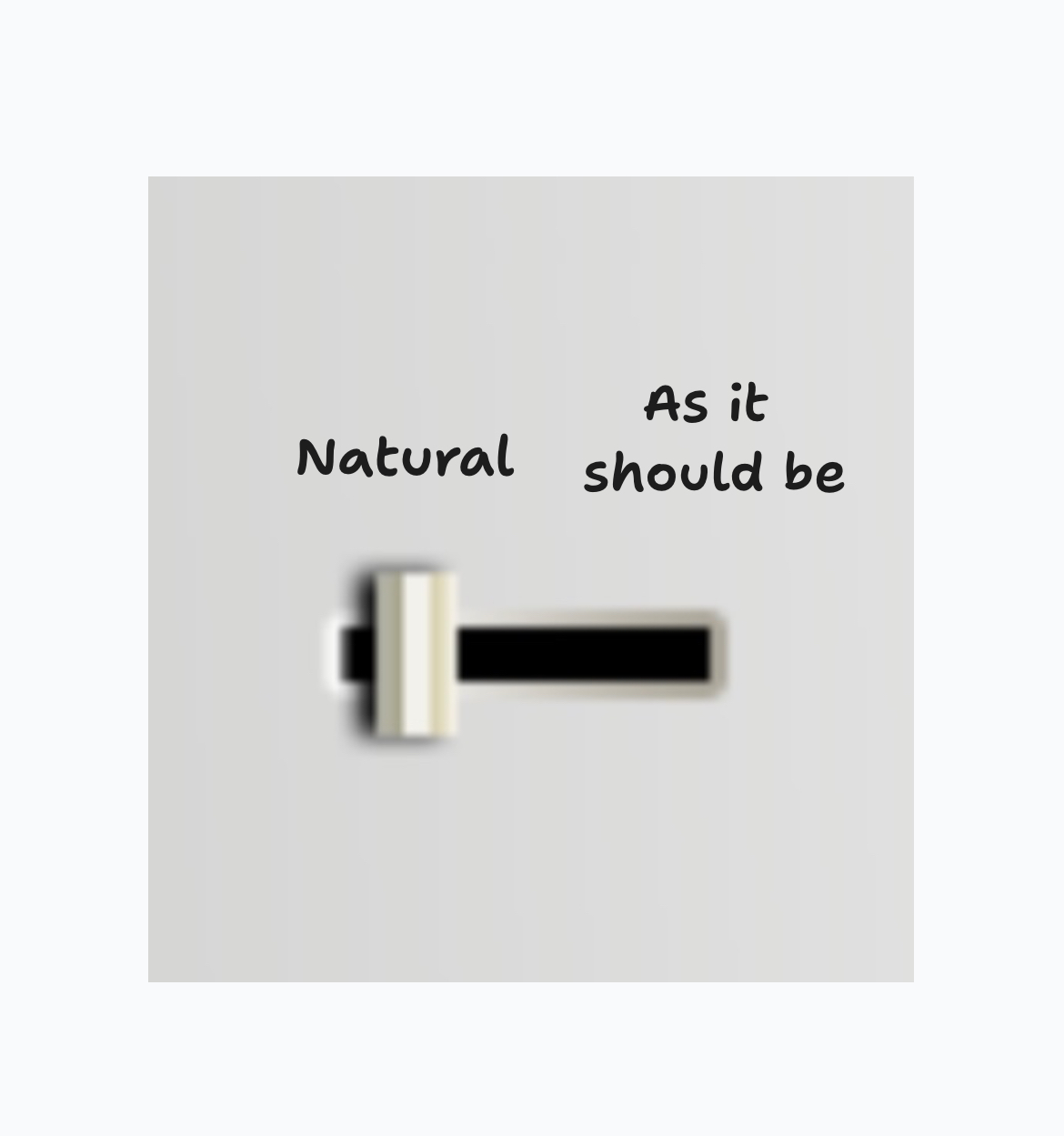 naisb